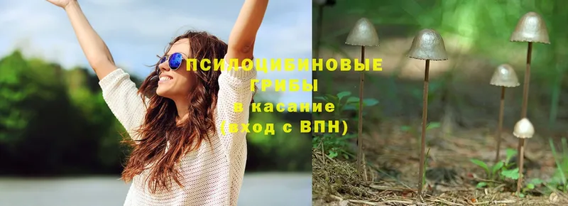 Галлюциногенные грибы Magic Shrooms  Чишмы 